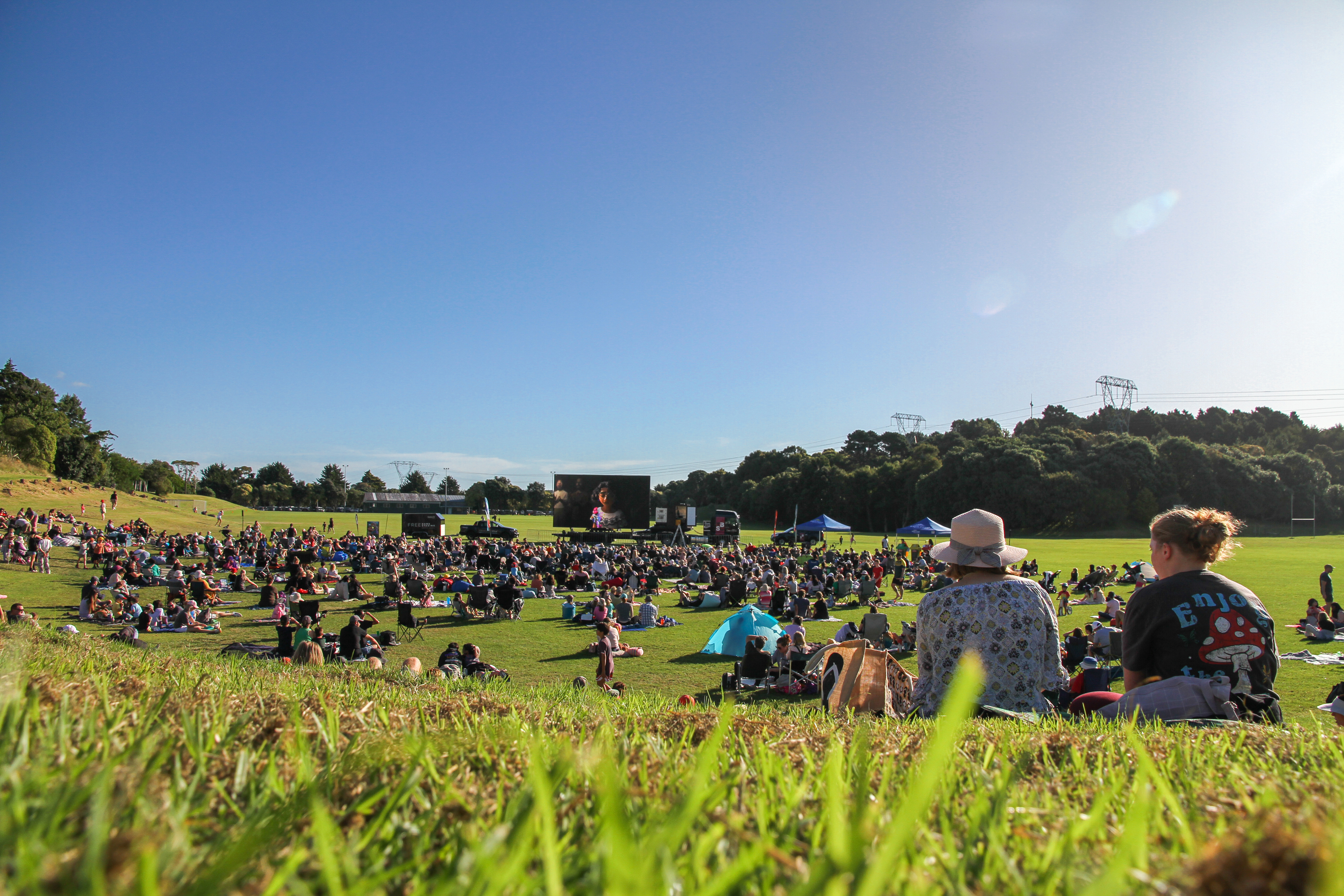 Photo of people enjoying movies in the park at Waikanae Park.