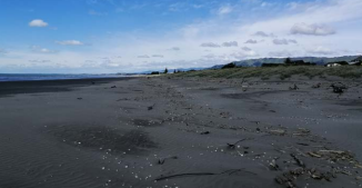 Wide sandy beach with dunes fronting Waikanae Beach north of the estuary.
