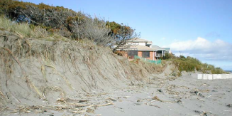 Photo of dune scarp erosion in 2003 at the northern end of Manly Street.