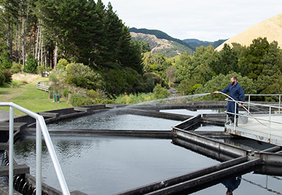 Image showing a part of the treatment pools at Waikanae's water treatment plant, with trees in the background