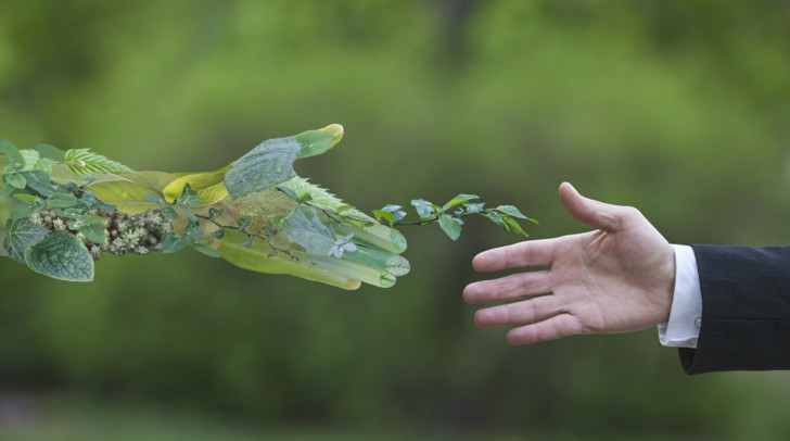 A hand made of leaves reaching towards a hand showing sleeve of business suit