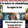 Foresight and Vision Whakatauki - Thumbnail