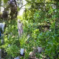 Waimeha Reserve Volunteers (2) thumbnail
