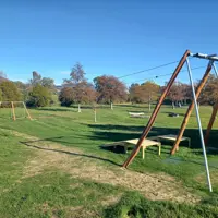 Kaitawa flying fox (1) thumbnail