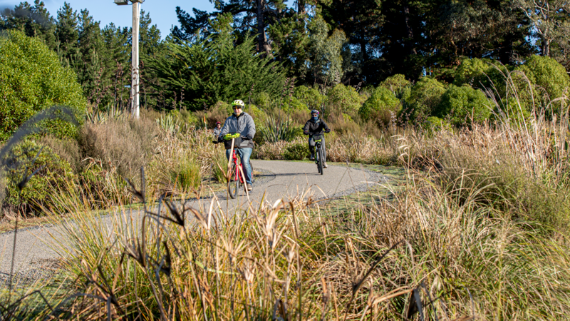 Cyclists riding the Expressway Trail