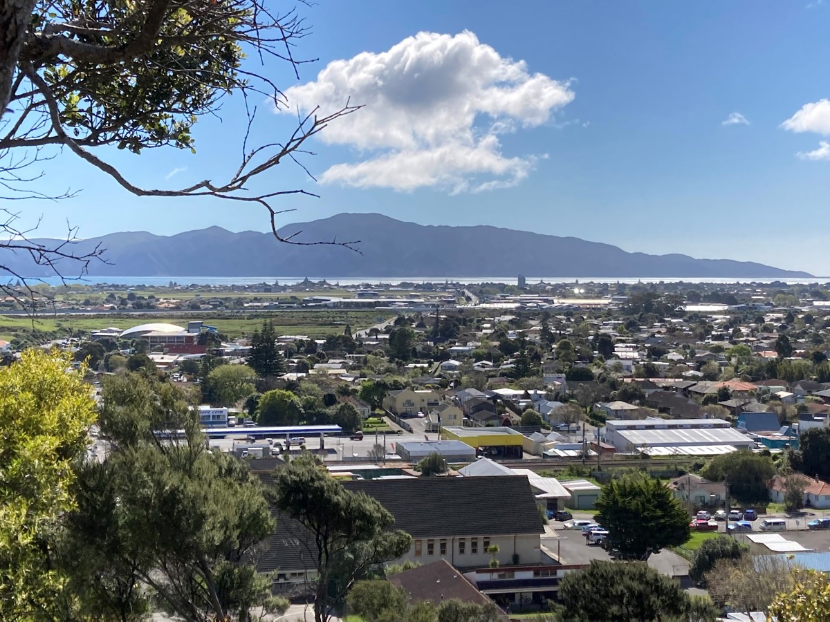 Aerial view of Kāpiti with the island in the background.