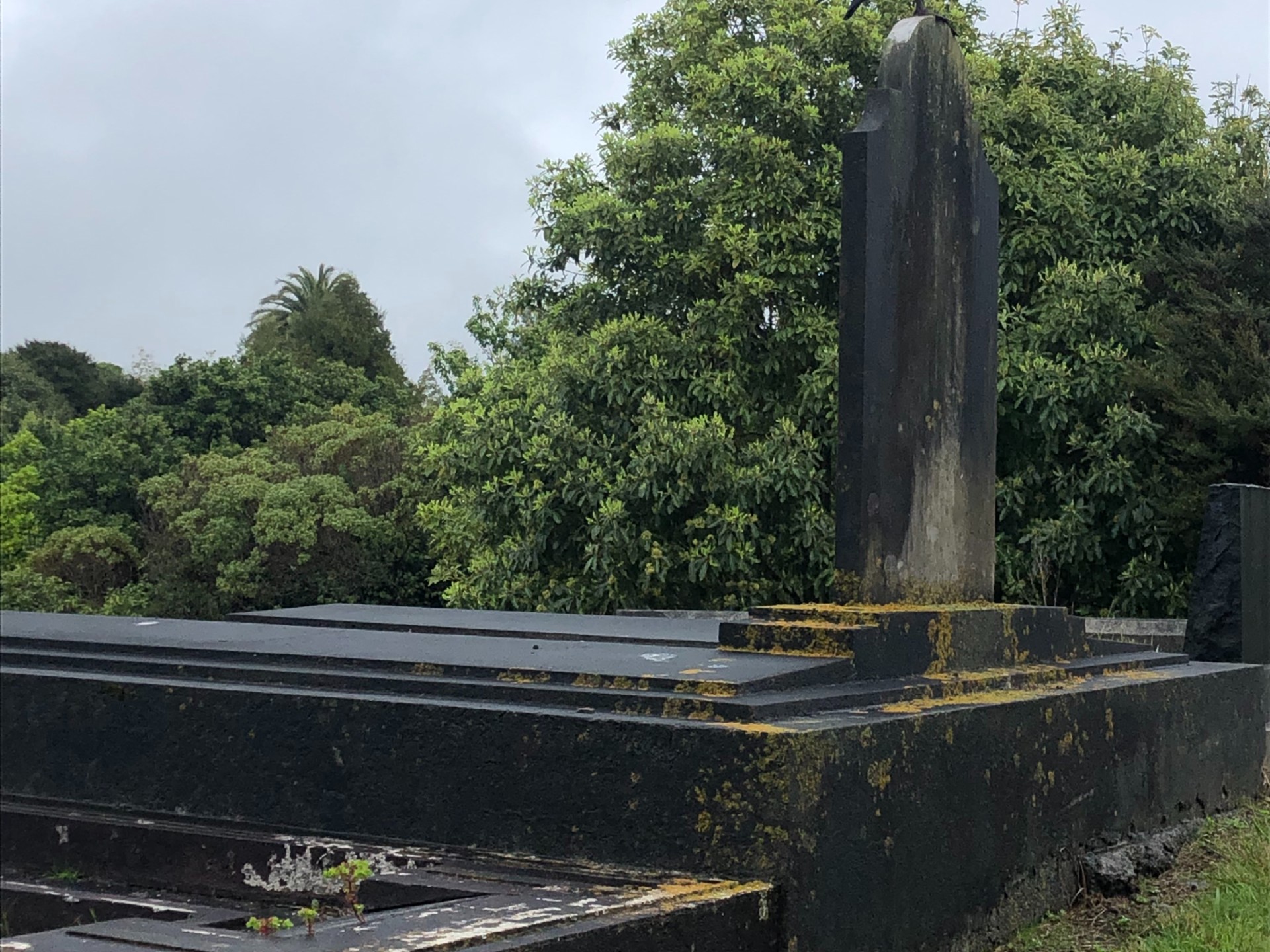 Photo of a grave at Waikanae Cemetery