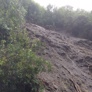 Img 1315 - Thumbnail
