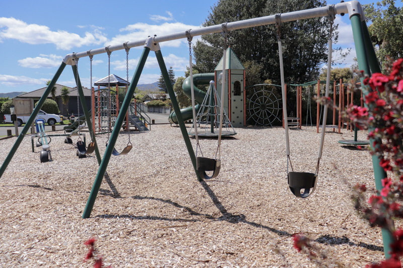 Totara Park swings