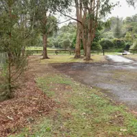 Greenwood Boulevard Tennis Courts trees thumbnail