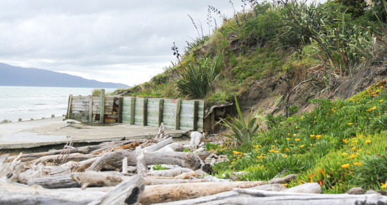 Erosion of a sea wall in Raumati