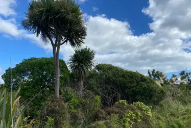 Heritage fund recipients 2024/25 announced