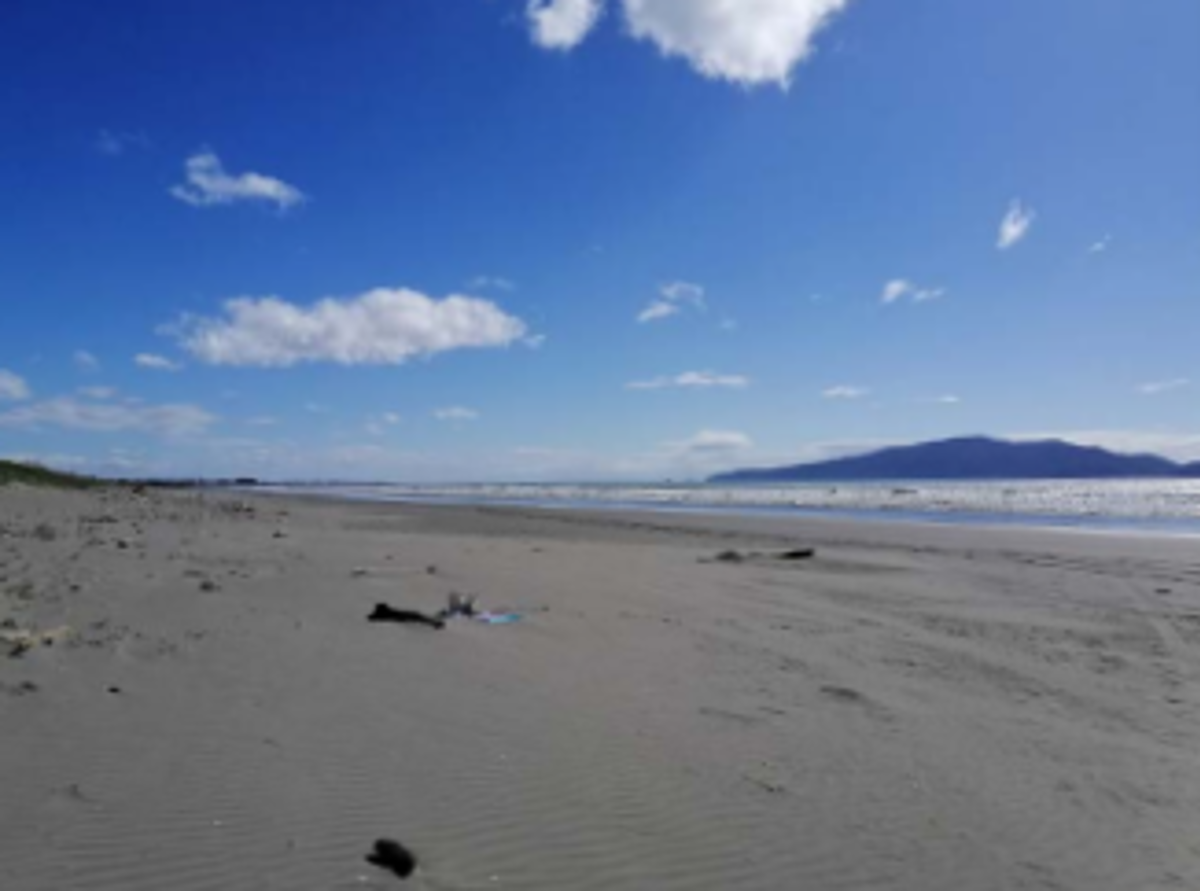 Peka Peka Beach and Kāpiti Island.