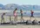 Kapiti Coast Council