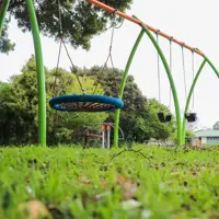 Elizabeth Rose Reserve swings thumbnail