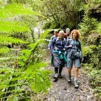 Explore our native bush walks thumbnail