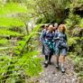 bush walk l - Thumbnail