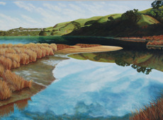 610 Reflections Near Motukaraka Point