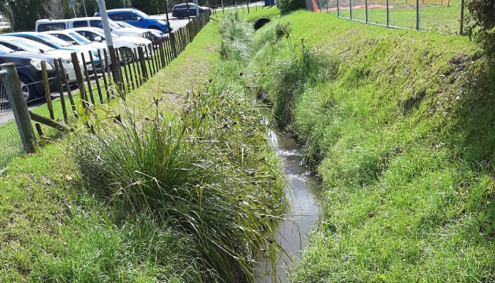 Photo of a grassy stormwater drain.