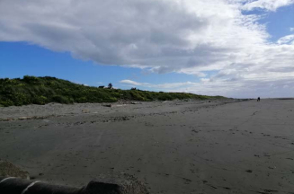 Photo of wide flat sand beach with vegetated dunes in front of Manly Street by Ngapotiki Street.