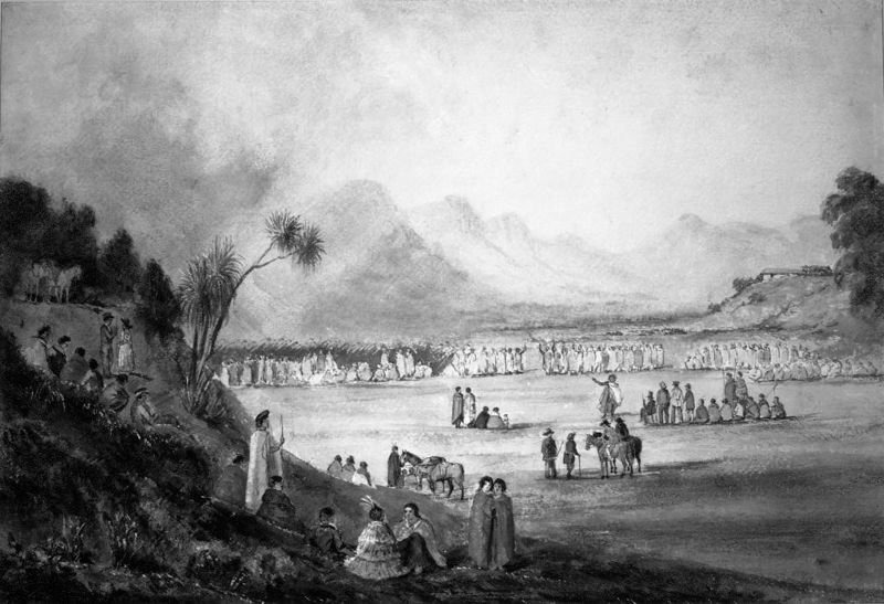 Drawing of Tuku Rakau. This was located in the land between Greenway Road and Puriri Road. There is currently no public access to this site.