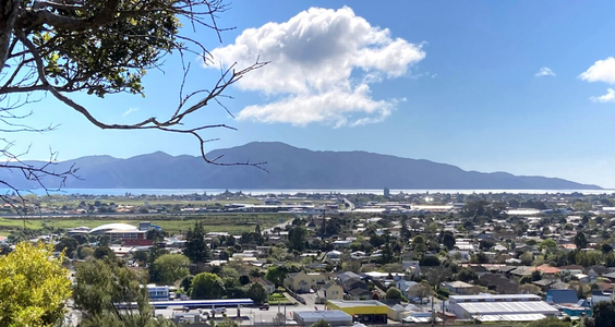 Hill view of Kāpiti Island on a sunny day