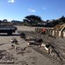 Img 1666 - Thumbnail