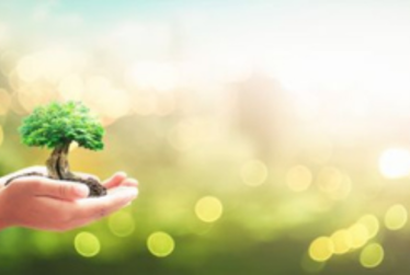 Final climate action grants announced