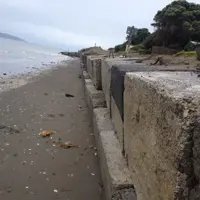 Temporary Seawall 1 thumbnail