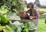 Love Your Compost