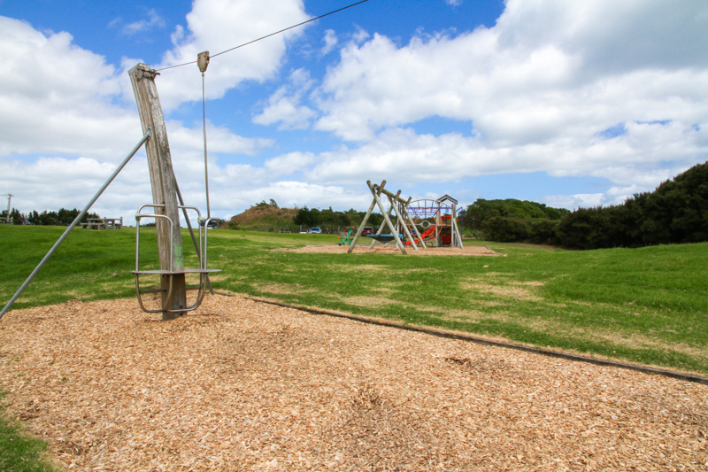 Pharazyn Reserve flying fox