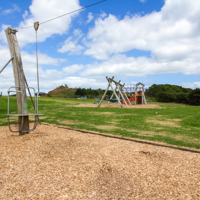 Pharazyn Reserve flying fox thumbnail