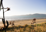 Paraparaumu Beach
