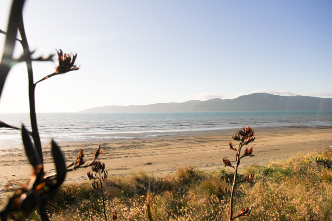 Paraparaumu Beach