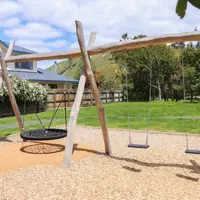 Shotover Grove Reserve swings thumbnail