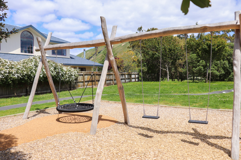 Shotover Grove Reserve swings