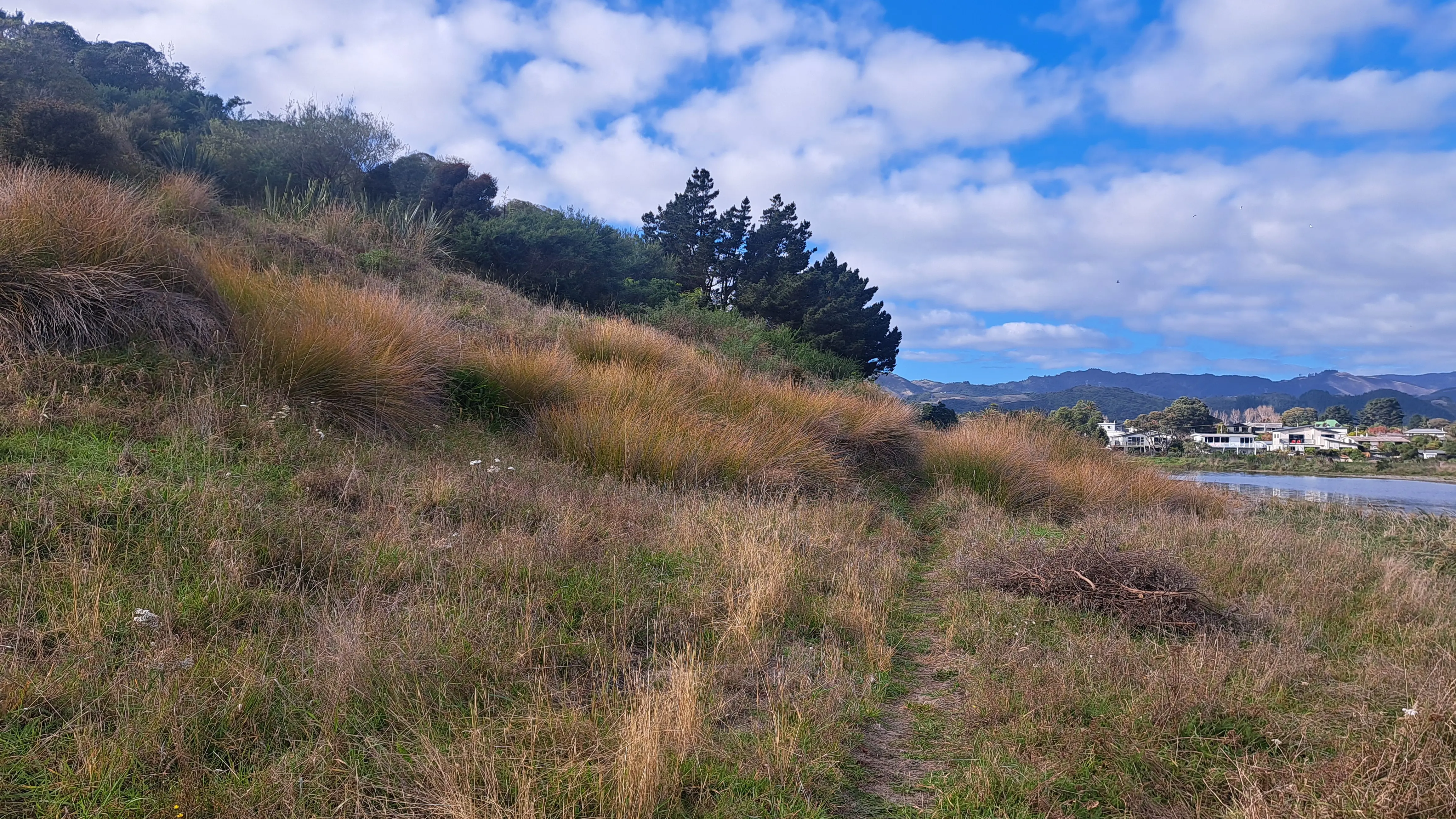 Waikanae River Trail (2)