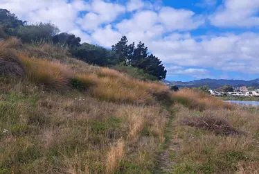 Stay in the know with Everything Kāpiti