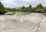 Waikanae Park (4)