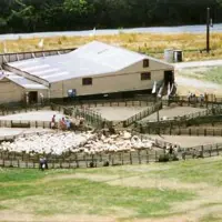 Lands and Survey Dept enlarged the original MacKay woolshed after World War II. It was demolished for the Overbridge. thumbnail