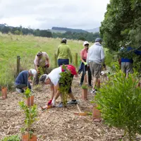 Friends Of Ōtaki River thumbnail