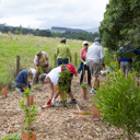 Friends Of Ōtaki River - Thumbnail