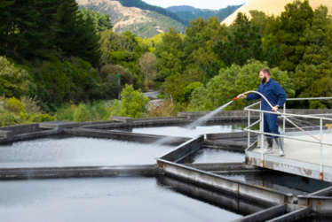 Kāpiti Coast District Council focussed on debt reduction in Long-term Plan