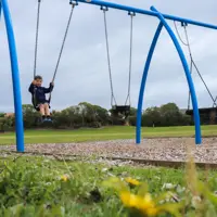 Kotuku Park swings thumbnail
