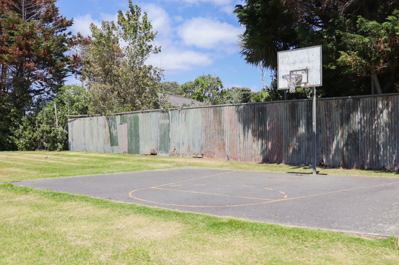 Dixie Street Reserve hoop