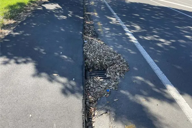 Autumn leaves covering a roadside drain