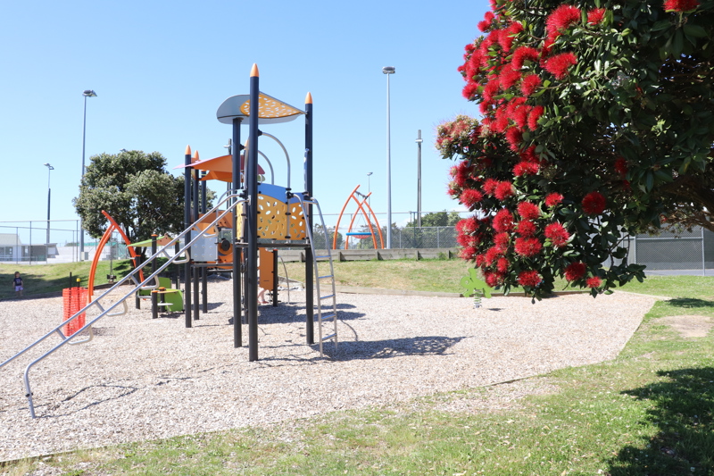 Te Ātiawa Park in summer