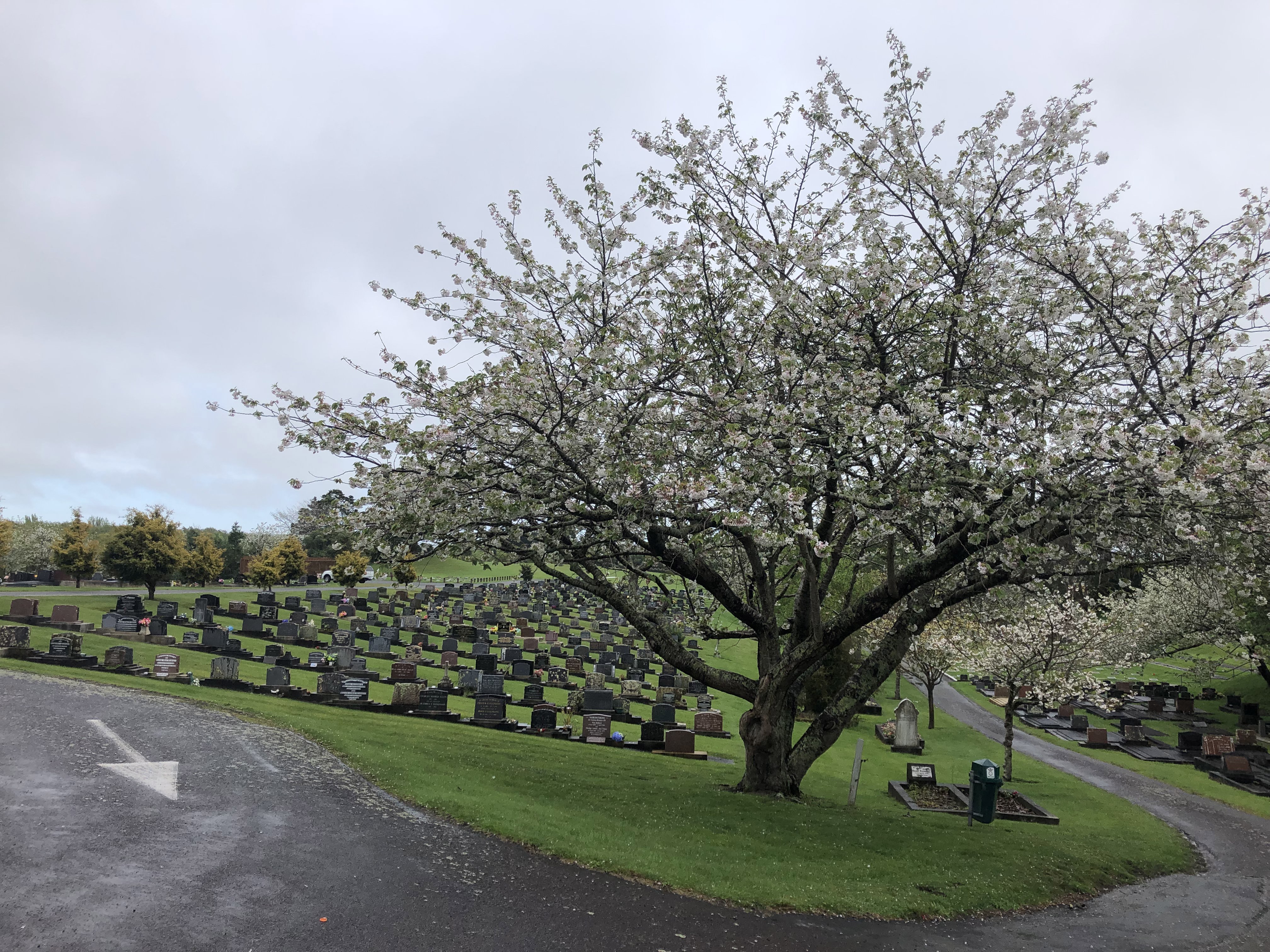 Photo of Ōtaki Cemetery