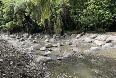 Stay in the know with Everything Kāpiti