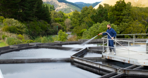 One of our staff working at our water treatment plant in Waikanae